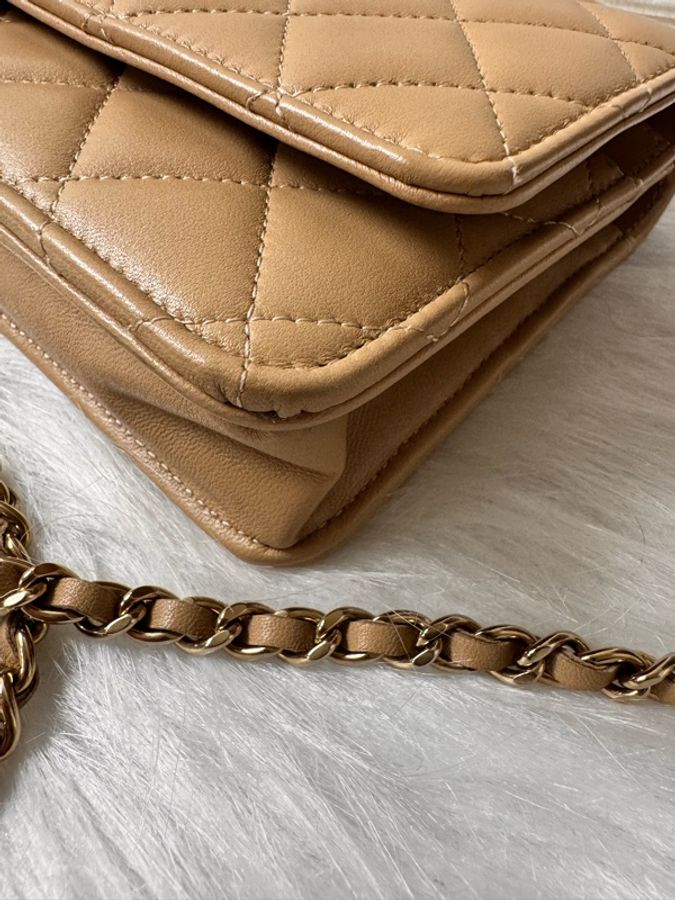 Chanel CHANEL 羊皮Trendy Wallet On Chain 鏈帶肩背-33