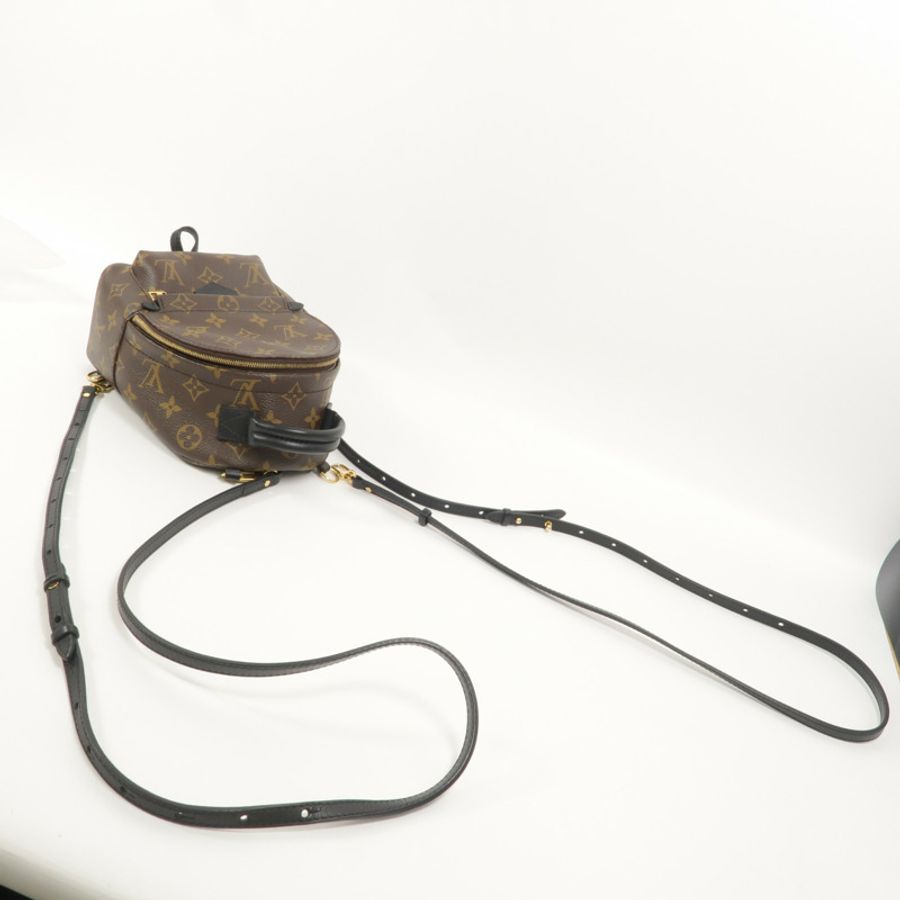 LOUIS VUITTON Monogram Palm Springs Mini背包-7