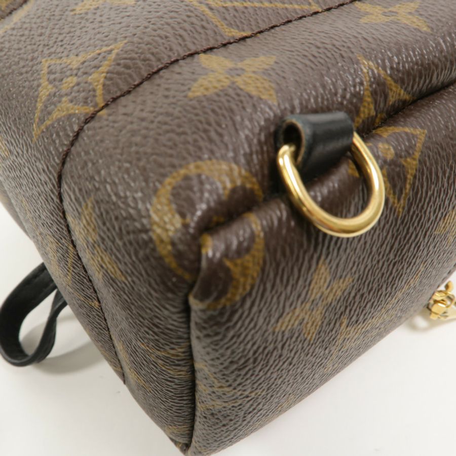 LOUIS VUITTON Monogram Palm Springs Mini背包-12