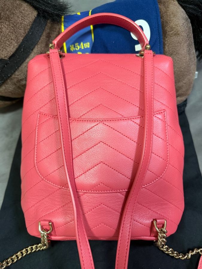 99新閒置品 Chanel 粉色V紋小牛皮金扣雙肩包-1