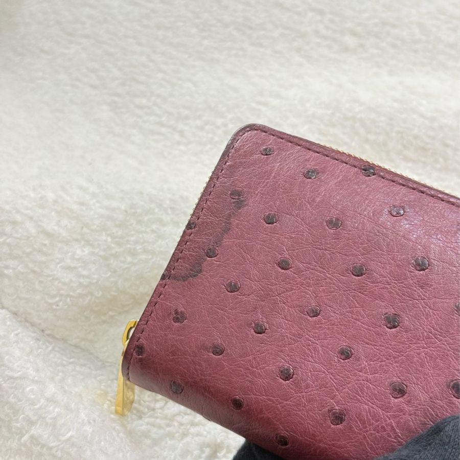 LV珍稀鴕鳥皮拉鍊零錢包-5