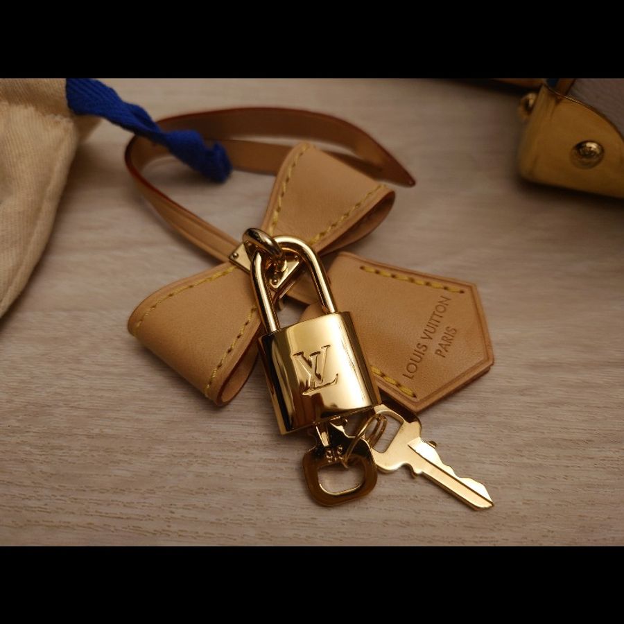 LV x TM Speedy Bandoulière 25 二十周年新款 M13085-9