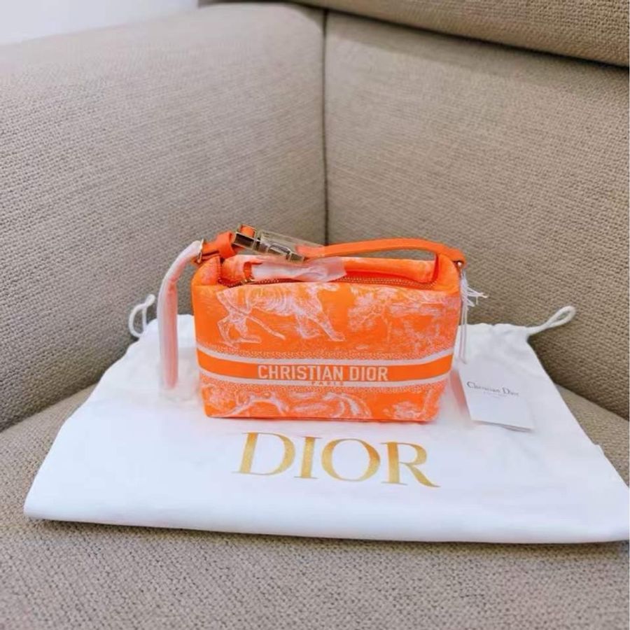 Dior 小號 飯盒包-4