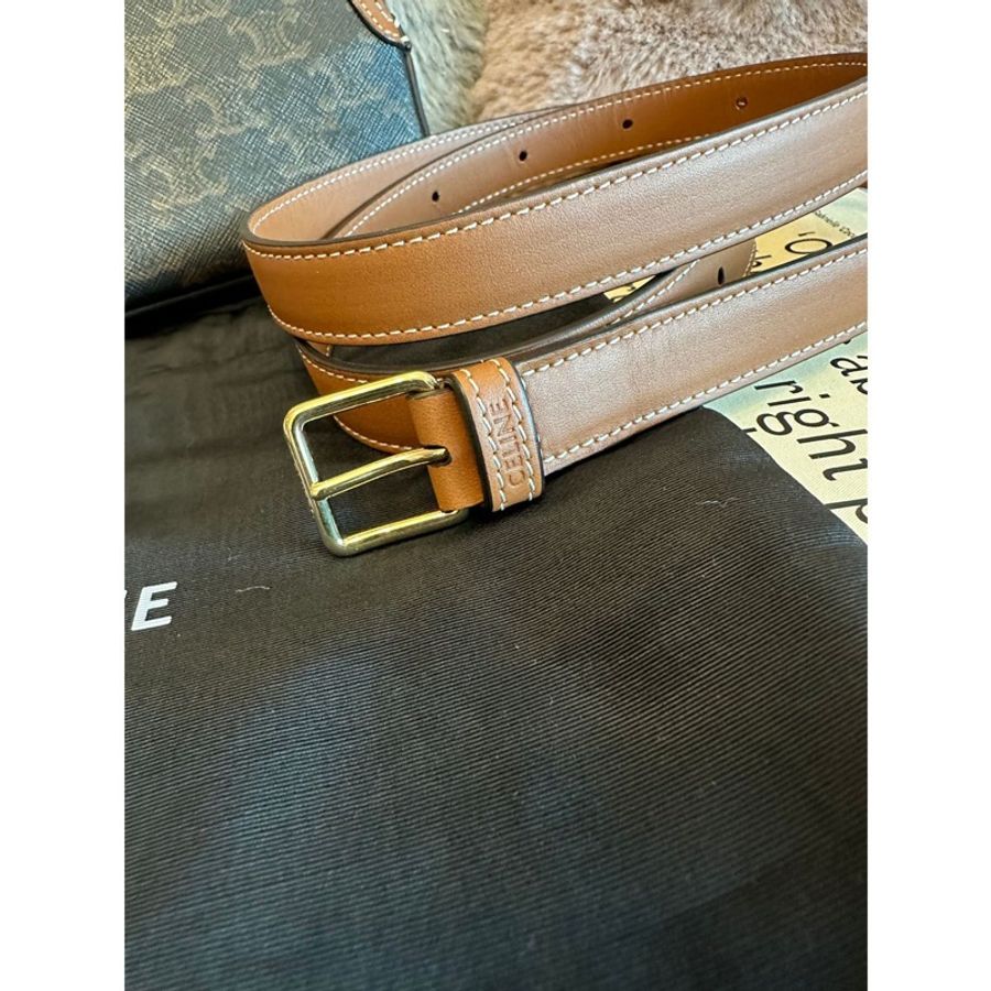思琳CELINE Triomphe Canvas 凱旋門老花相機包 腰包 小側包-15
