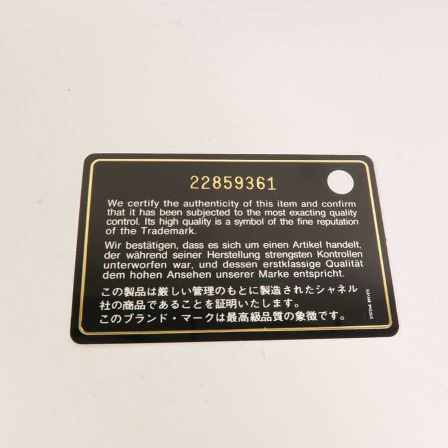 CHANEL 羊皮皮革Classic Zipped Pouch手拿包-10