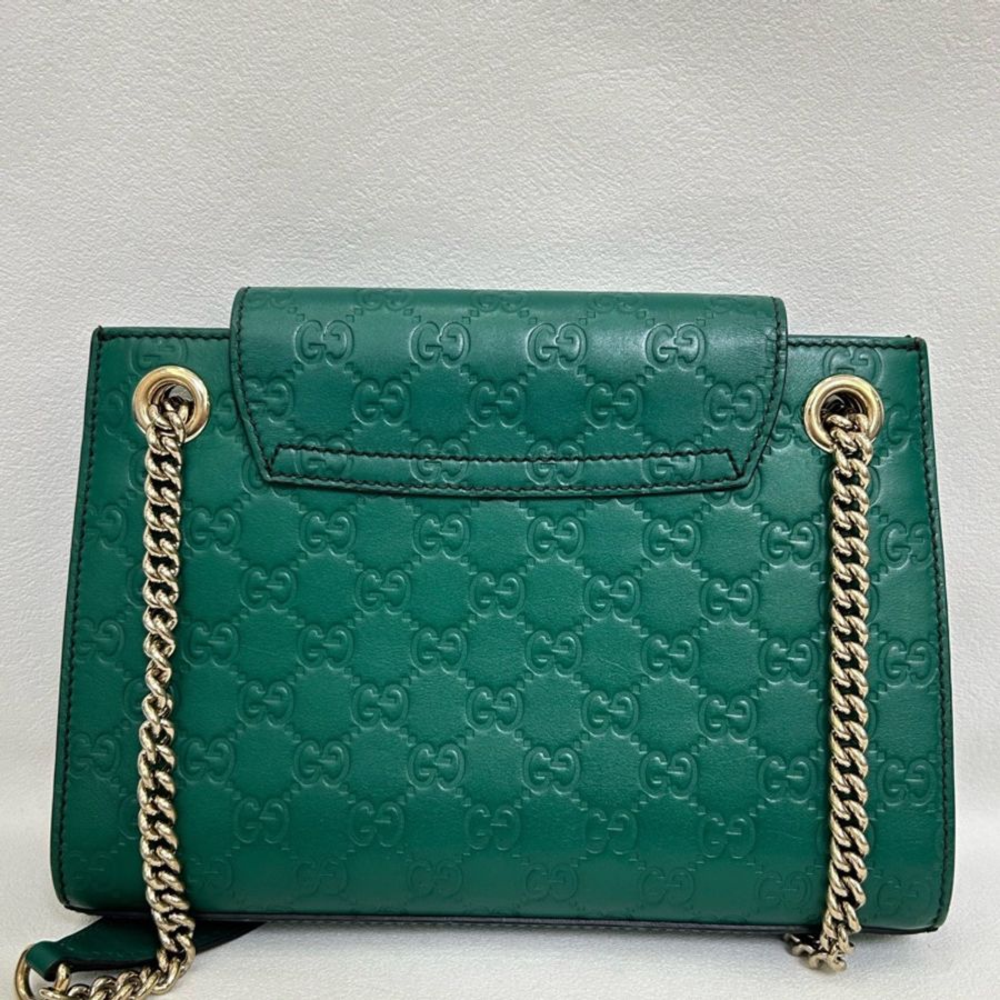 Gucci Emily 流蘇鏈條包,牛皮綠色中號金扣-1