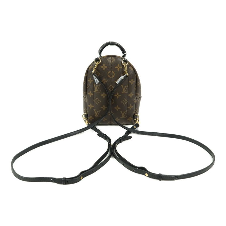 LOUIS VUITTON Monogram Palm Springs Mini背包-1