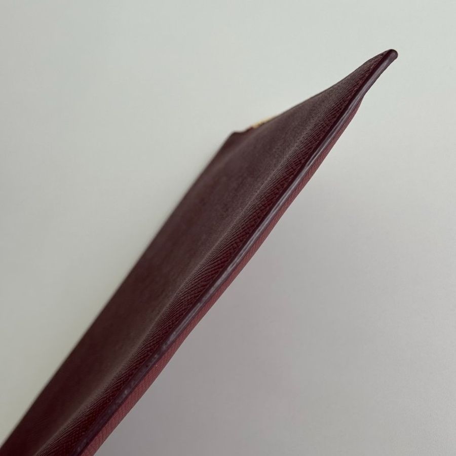 99新🆕 Celine 賽琳 手拿包 紅色金釦-15