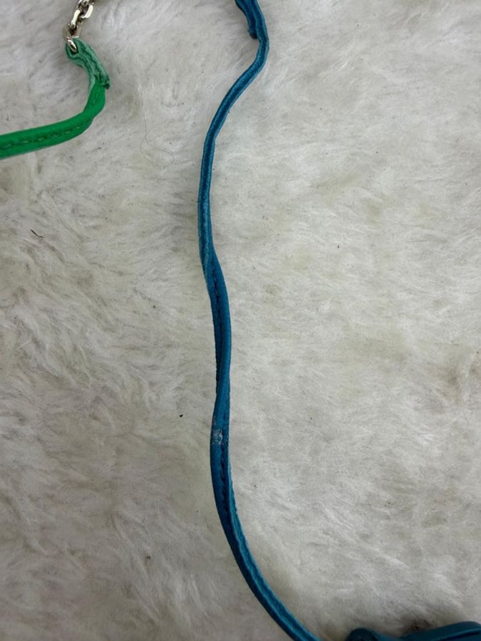 HERMÈS 愛馬仕 Carmencita-5