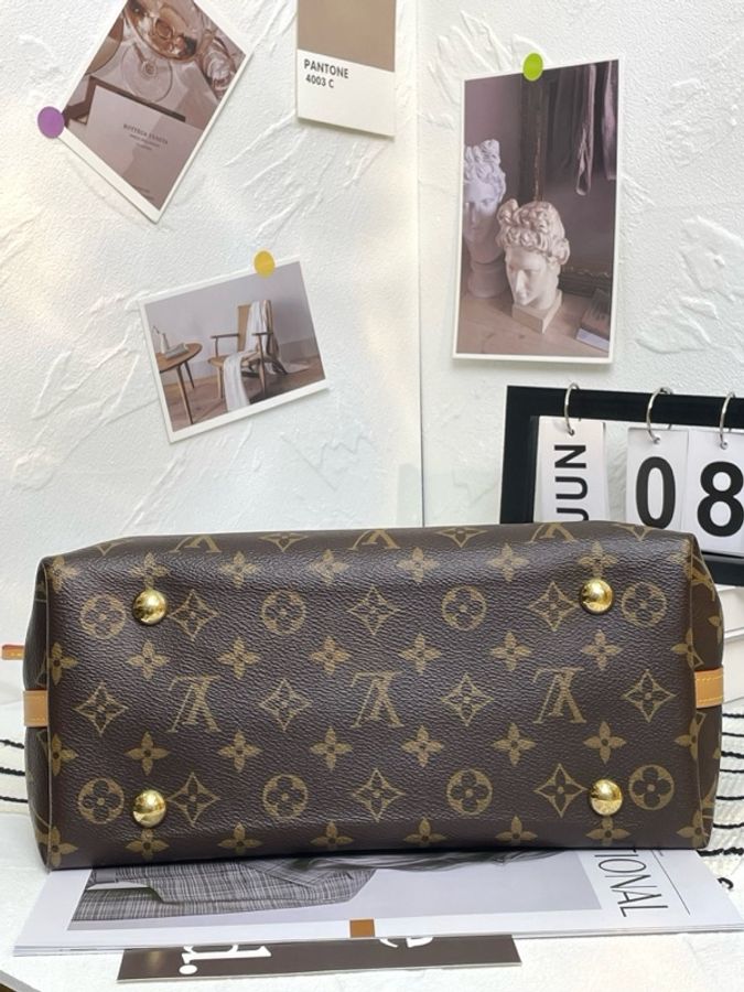 99新 Louis Vuitton路易威登 Carryall 芯片款-5