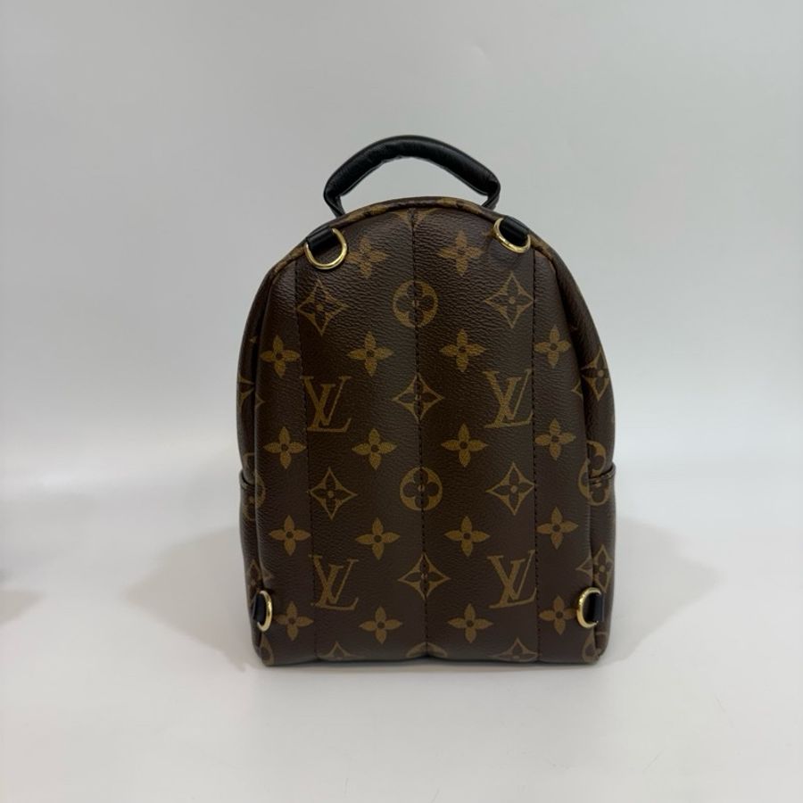 Lv 原花palm Springs mini 小書包-7