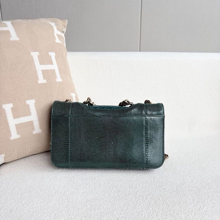 💚 CHANEL 孟買系列蜥蜴皮鏈條包 💚-16