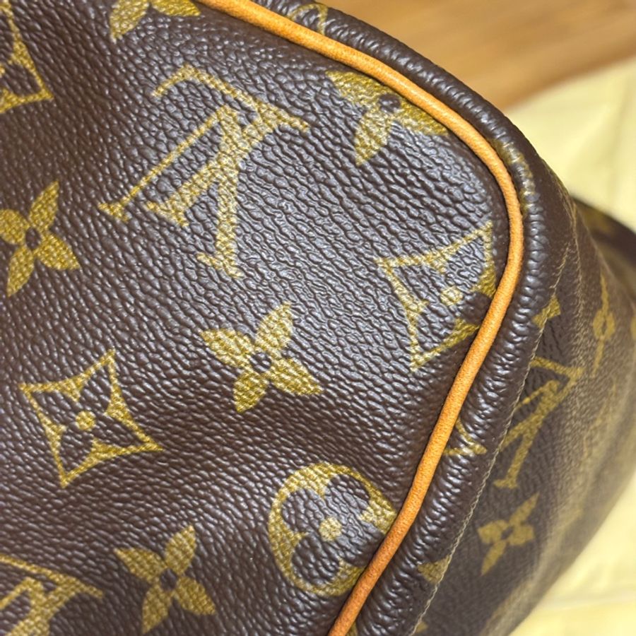 LV Speedy 25 (手提款)-10