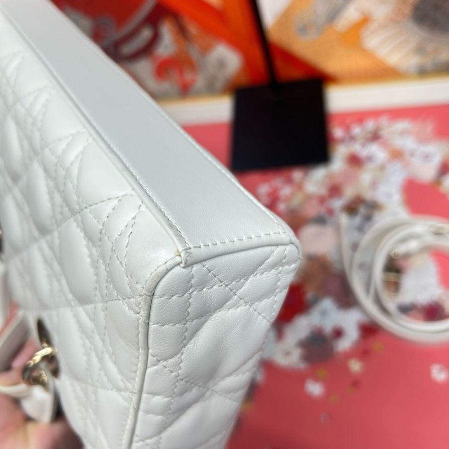 Dior 白金djoy 22年-5