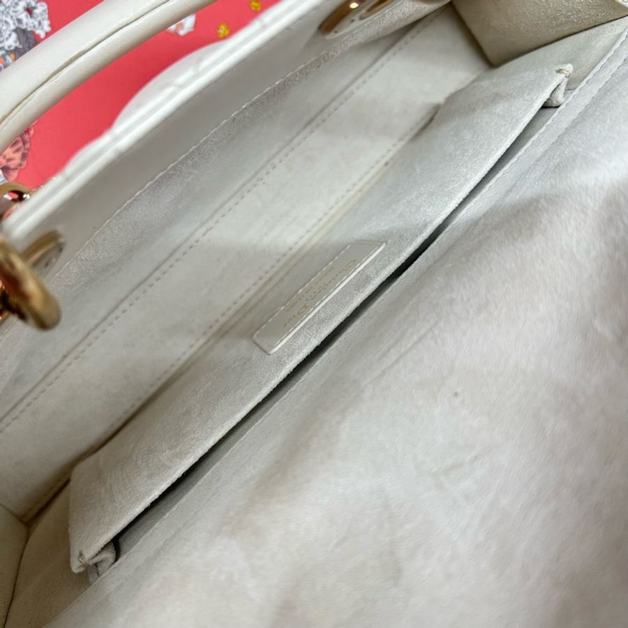 Dior 白金djoy 22年-6