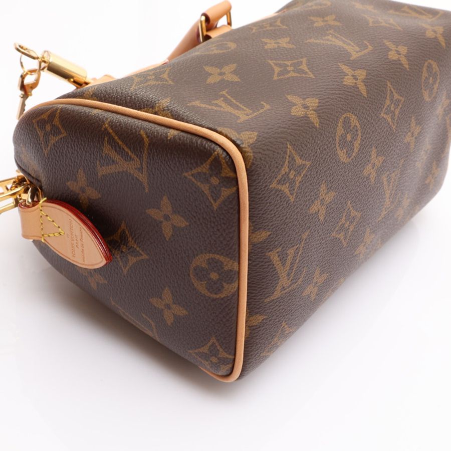 棕色 原花帆布 Speedy Bandouliere 20 兩用包【LOUIS VUITTON LV 路易威登】 M46222-10