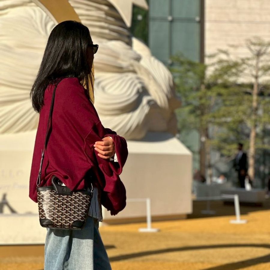 Goyard Beluga 菜籃子-3