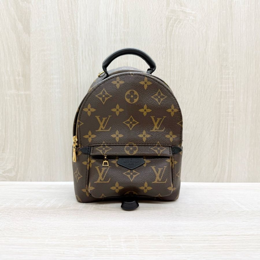 LV✨原花Palm Springs Mini小書包-1