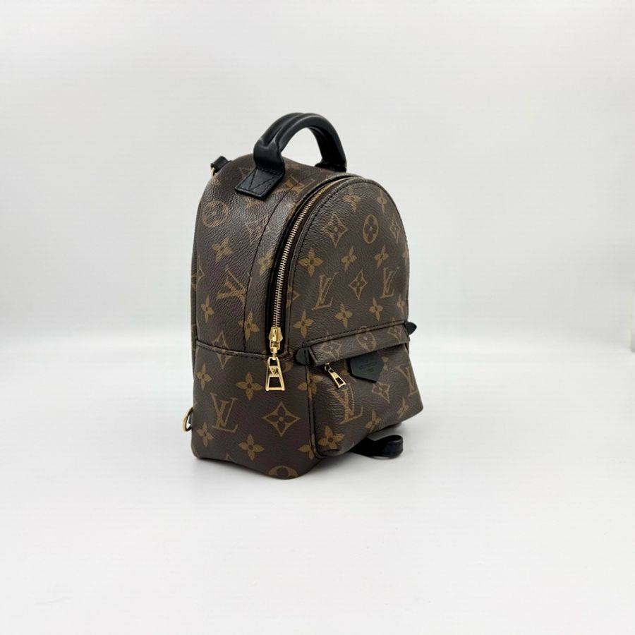 LV✨原花Palm Springs Mini小書包-4
