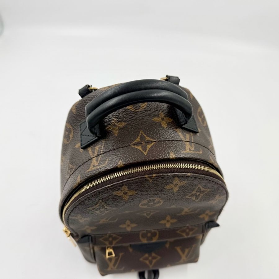 LV✨原花Palm Springs Mini小書包-9