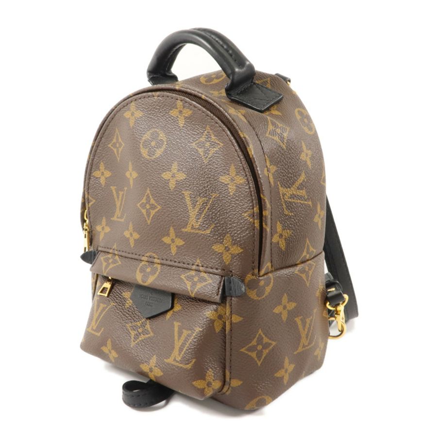 LOUIS VUITTON Monogram Palm Springs金扣背包棕色-2
