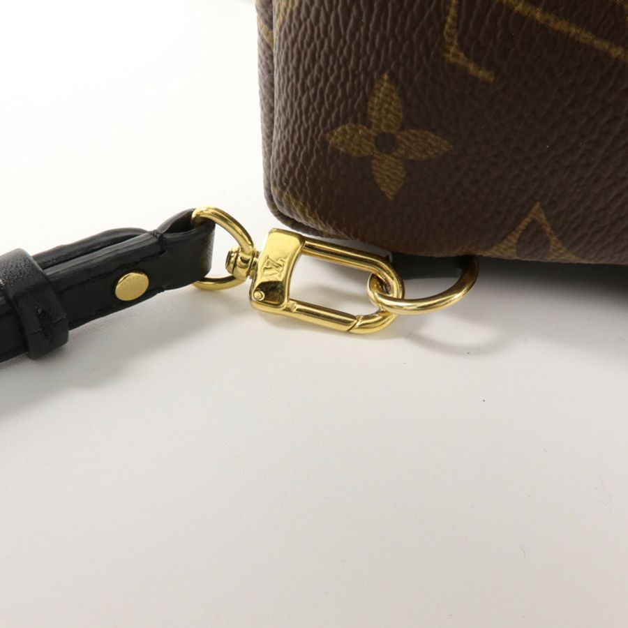 LOUIS VUITTON Monogram Palm Springs金扣背包棕色-8