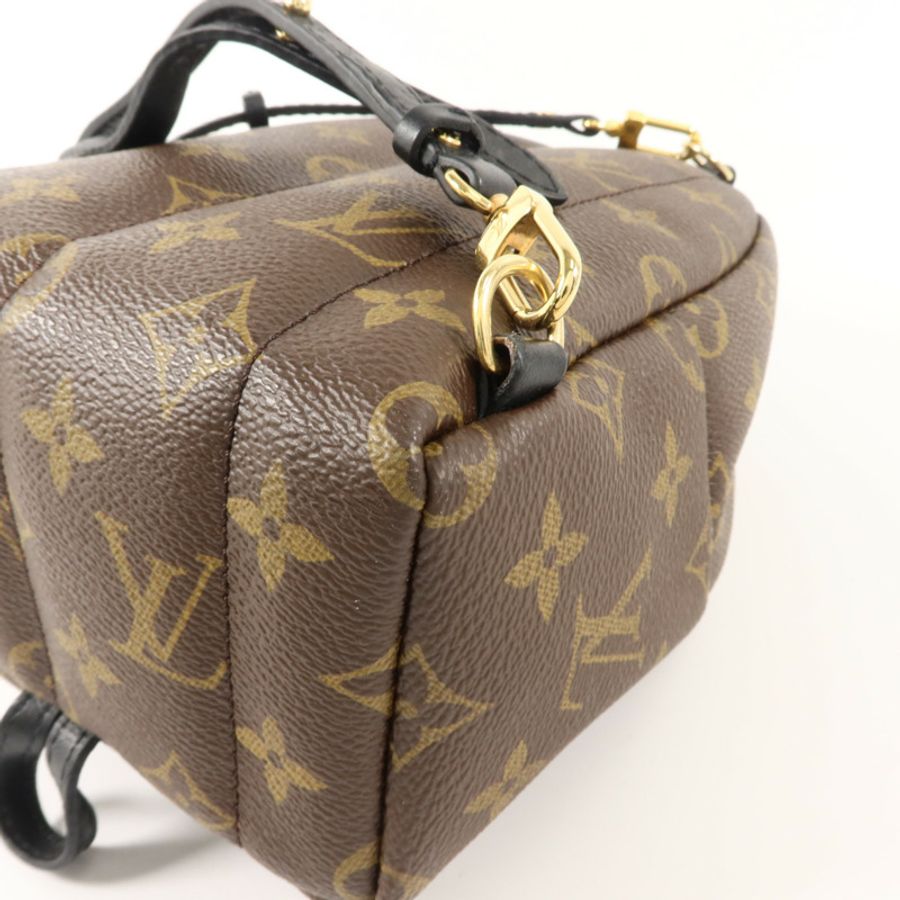 LOUIS VUITTON Monogram Palm Springs金扣背包棕色-12
