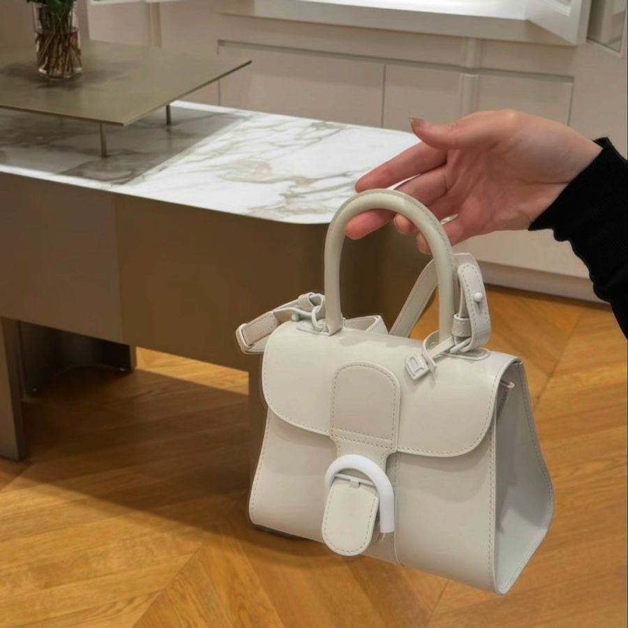 Delvaux Mini Brillant - 白-18