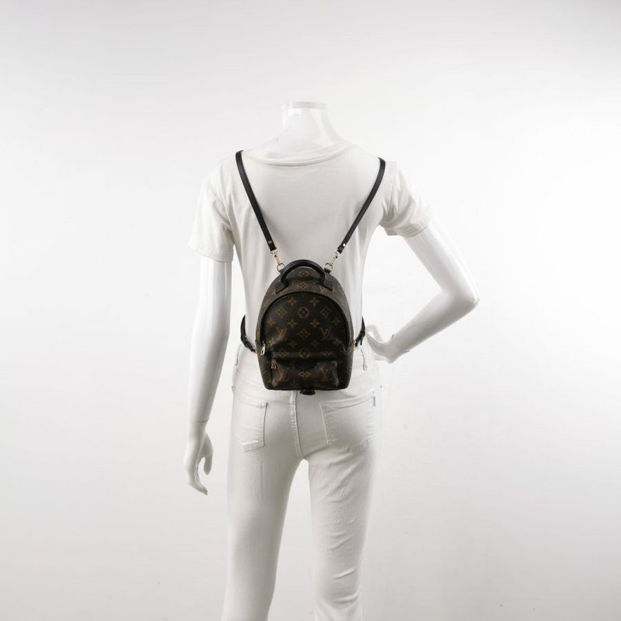 Louis Vuitton (LV) Palm Springs迷你牛皮Monogram印花三角皮標雙肩包-1