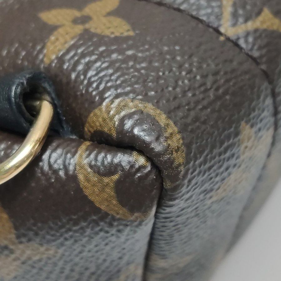 Louis Vuitton (LV) Palm Springs迷你牛皮Monogram印花三角皮標雙肩包-17