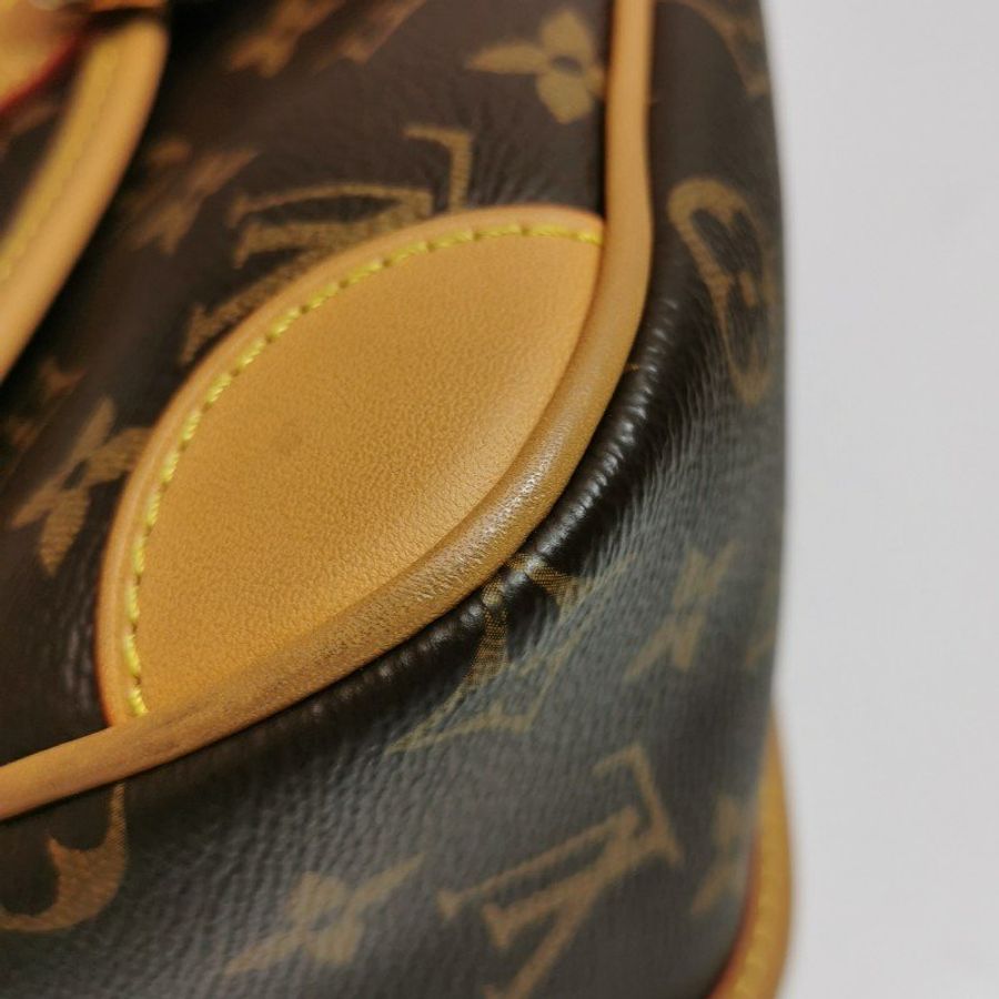 Louis Vuitton (LV) Diane植鞣革Monogram印花斜背包單肩包晶片款-23