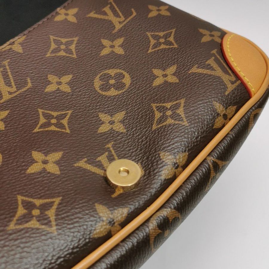 Louis Vuitton (LV) Diane植鞣革Monogram印花斜背包單肩包晶片款-26