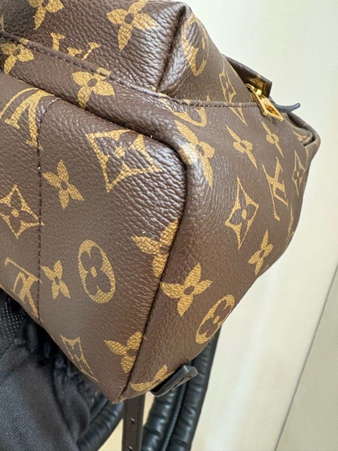 LV 路易威登 Palm Springs 小號 老花 後背包 手提包 雙肩包-8
