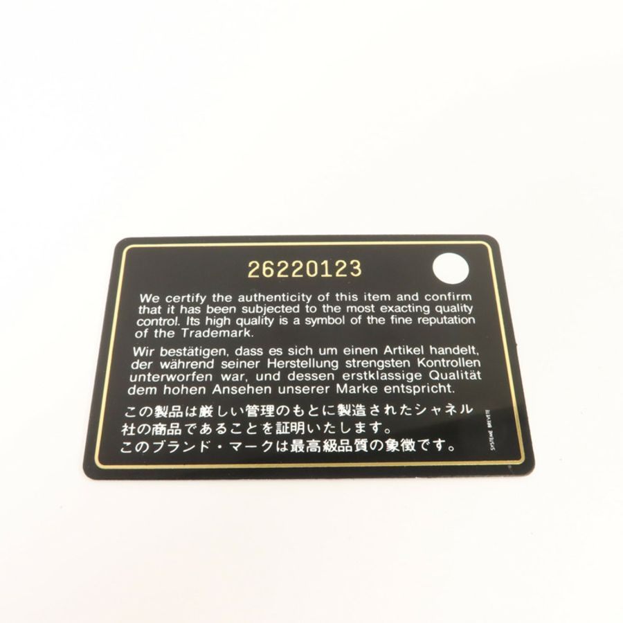 CHANEL 羊皮皮革Classic Phone Pouch With Zipper小袋-7