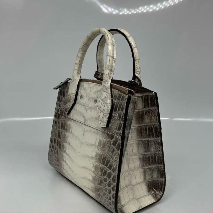 LV city steamer 撒哈拉 喜瑪拉雅鱷魚皮手提包 22.5 x 19 x 11 9新配件塵袋購證鱷魚證書-1