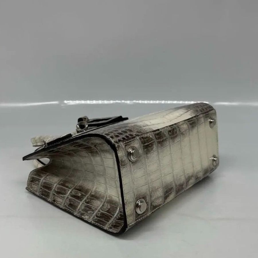 LV city steamer 撒哈拉 喜瑪拉雅鱷魚皮手提包 22.5 x 19 x 11 9新配件塵袋購證鱷魚證書-3