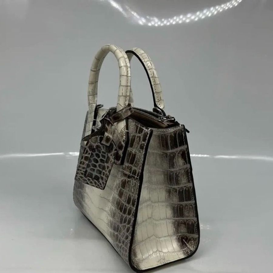 LV city steamer 撒哈拉 喜瑪拉雅鱷魚皮手提包 22.5 x 19 x 11 9新配件塵袋購證鱷魚證書-5