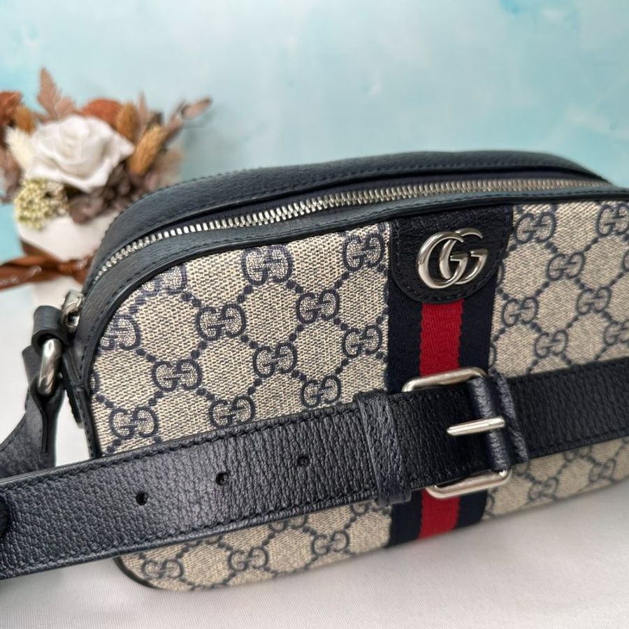 GUCCI Ophidia帆布相機包-5