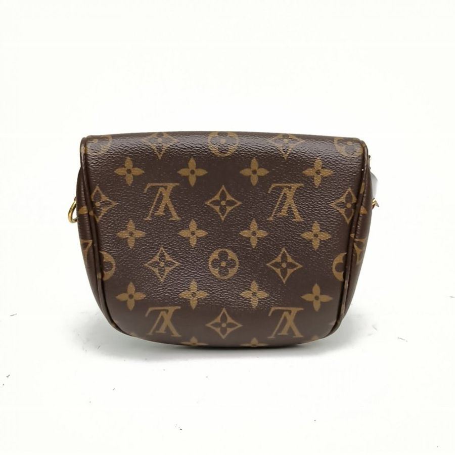LOUIS VUITTON Bumbag腰包Mini老花PVC晶片肩背包-2