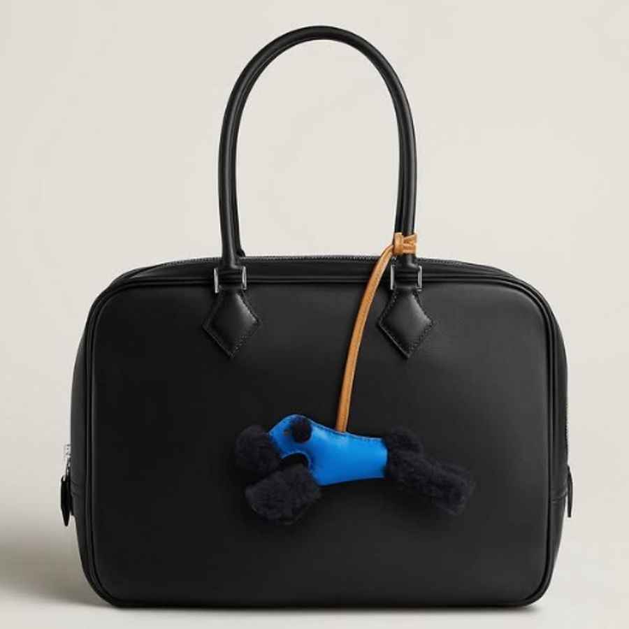 Hermes Budy-4