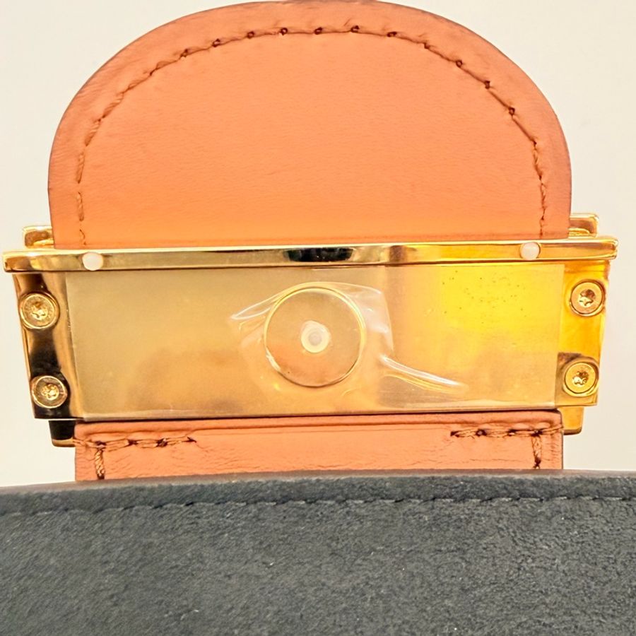 LV雙色原花金釦mini Dauphine 肩斜背包-34