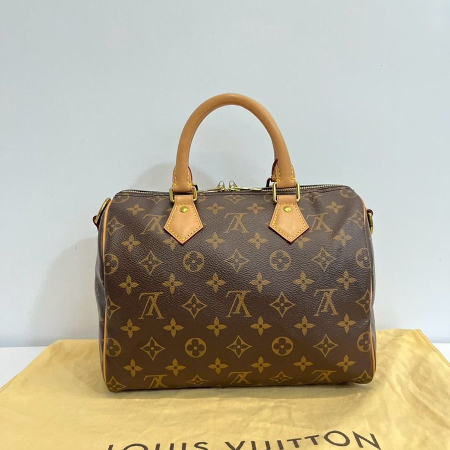 Louis Vuitton Speedy25-1