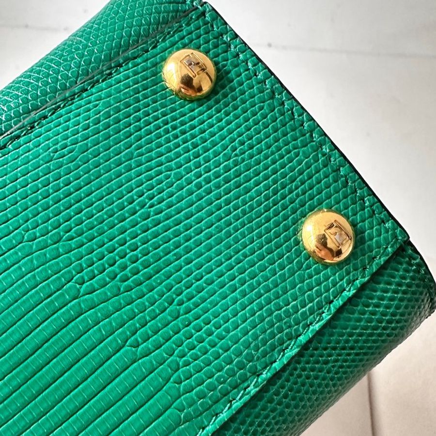 訂製款  Fendi Mini Peekaboo 特殊皮革 訂製款 撞色-18