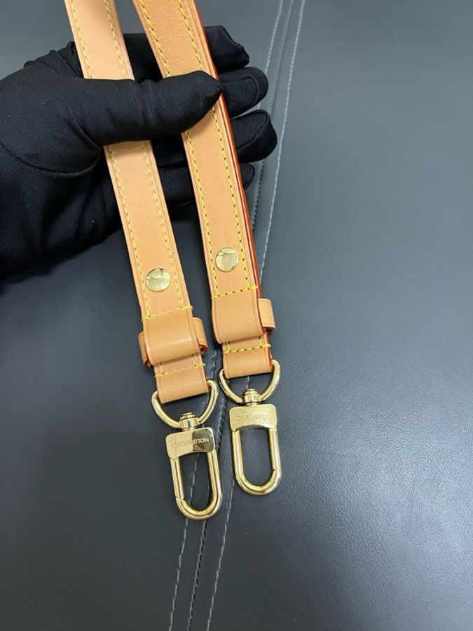 LV Loop-24