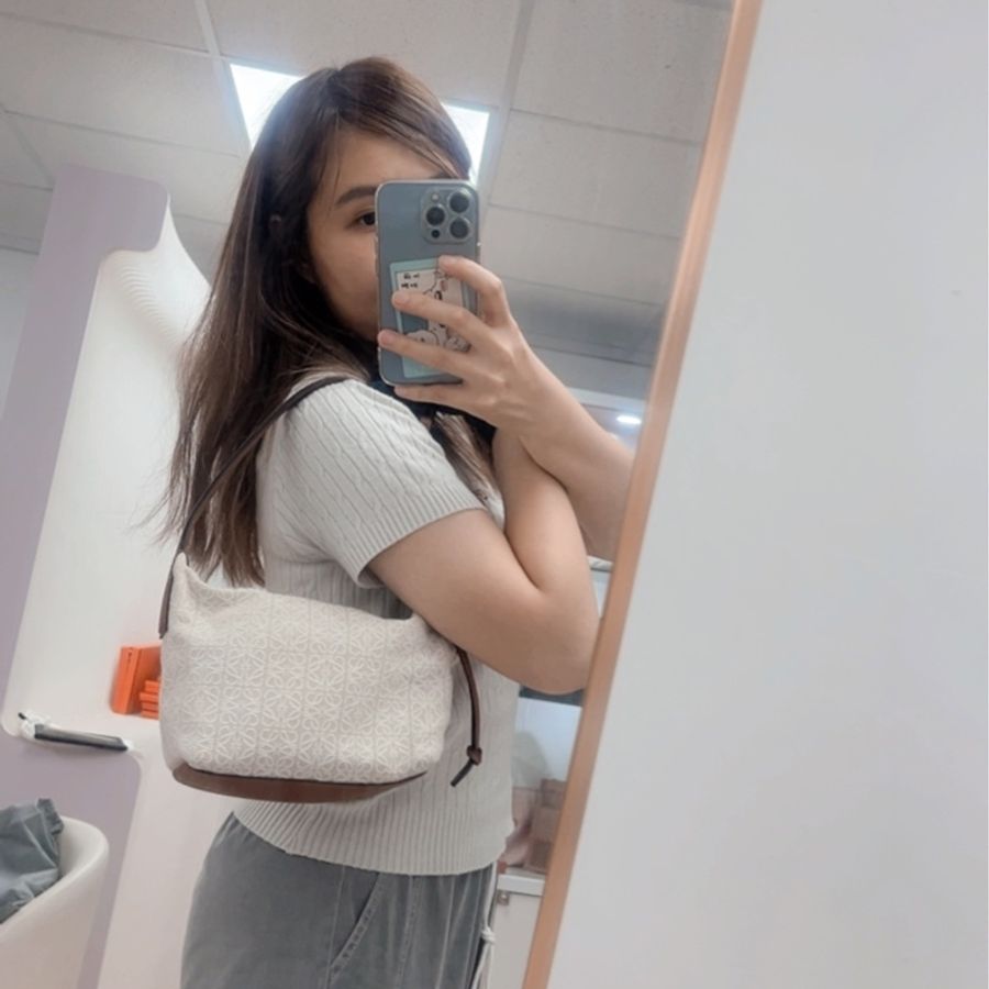 Loewe cubi small 老花飯盒包-12