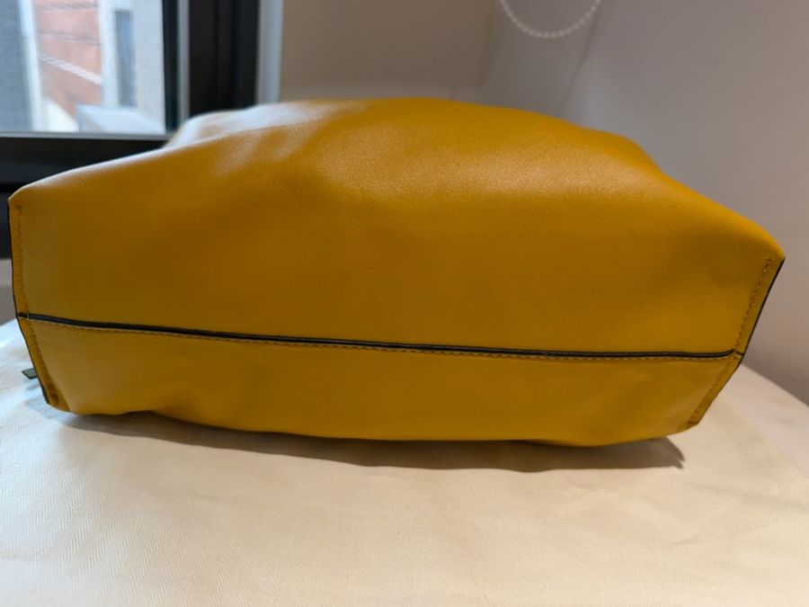 LOEWE Flamenco Medium 芥末黃 Nappa 小牛皮｜近新完整配件  💛 LOEWE 經典 Flamenco Medium，中型尺寸。-12