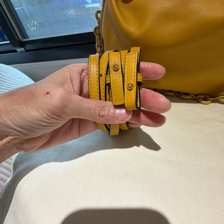 LOEWE Flamenco Medium 芥末黃 Nappa 小牛皮|近新完整配件 💛 LOEWE 經典 Flamenco Medium,中型尺寸。-19