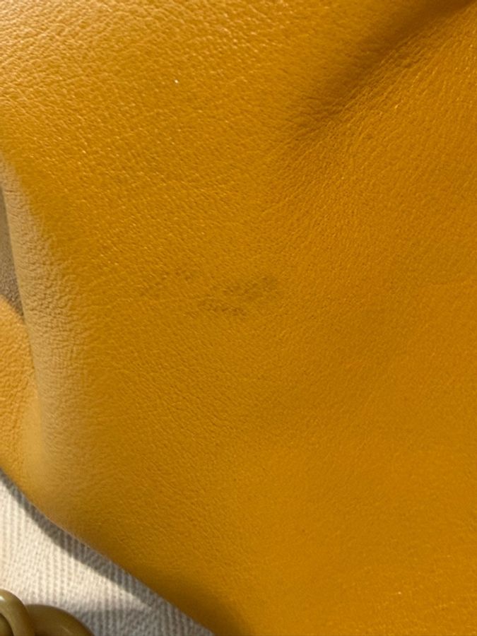 LOEWE Flamenco Medium 芥末黃 Nappa 小牛皮|近新完整配件 💛 LOEWE 經典 Flamenco Medium,中型尺寸。-22