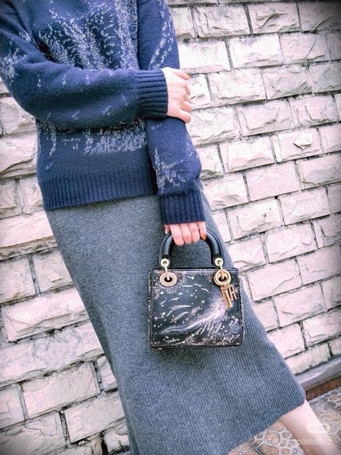 【威選精品】✨ DIOR 限量款星空水鑽美人魚刺繡 Lady Dior 手提肩背-3
