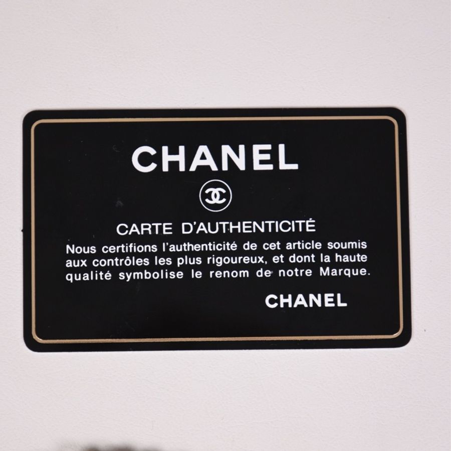 Chanel 15开雾霾蓝蛇皮皮穿链woc单肩包-2